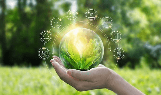 The Role of Technology in Sustainability